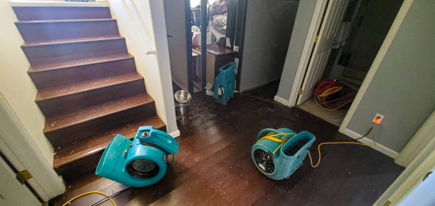 Best Water damage contractors near me  in Dillingham, AK