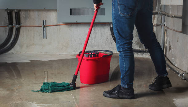 Best Basement water damage restoration  in Dillingham, AK