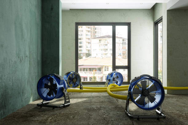 , AK Water damage restoration Company