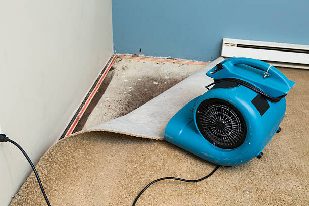 Best Water damage restoration near me  in Dillingham, AK